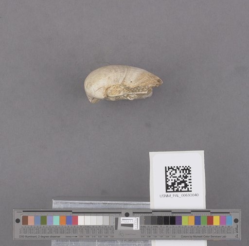 NSF ADBC EPICC TCN