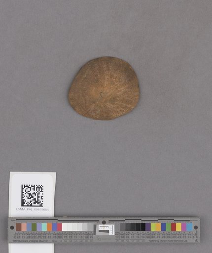 NSF ADBC EPICC TCN