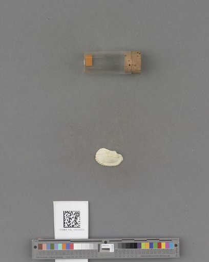 NSF ADBC EPICC TCN