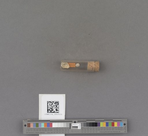 NSF ADBC EPICC TCN