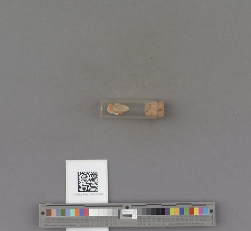 NSF ADBC EPICC TCN