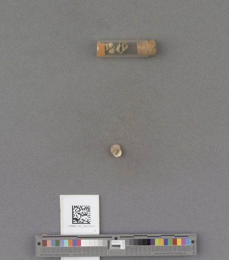 NSF ADBC EPICC TCN