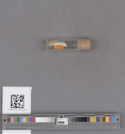 NSF ADBC EPICC TCN