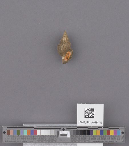 NSF ADBC EPICC TCN