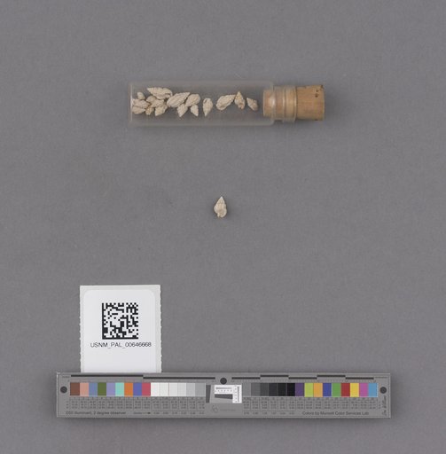 NSF ADBC EPICC TCN