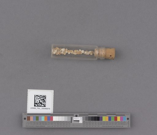 NSF ADBC EPICC TCN