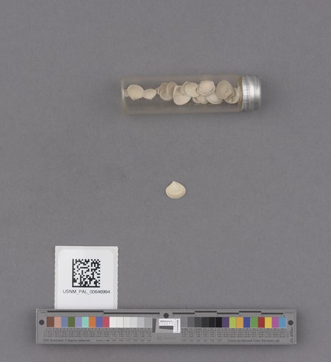 NSF ADBC EPICC TCN