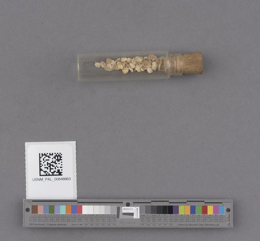 NSF ADBC EPICC TCN