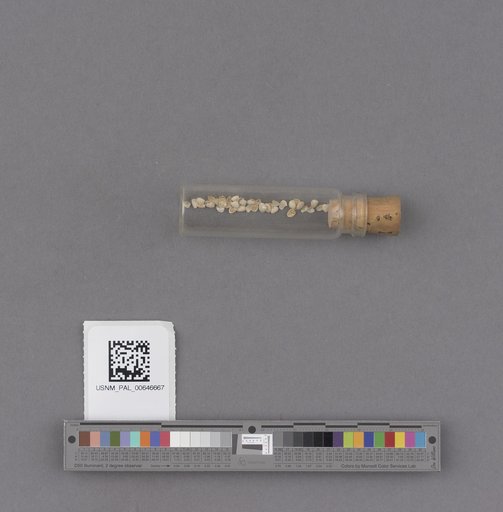 NSF ADBC EPICC TCN