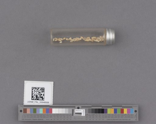 NSF ADBC EPICC TCN