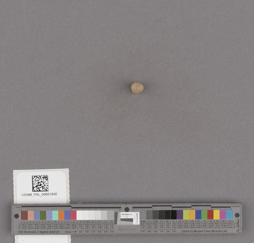 NSF ADBC EPICC TCN
