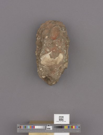 NSF ADBC EPICC TCN