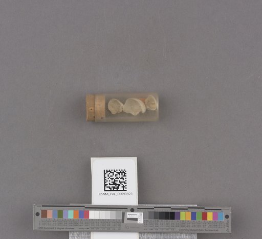 NSF ADBC EPICC TCN