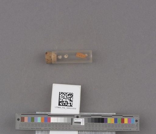 NSF ADBC EPICC TCN