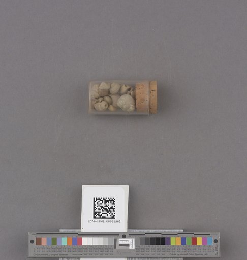 NSF ADBC EPICC TCN