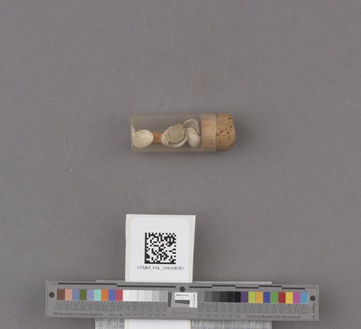 NSF ADBC EPICC TCN