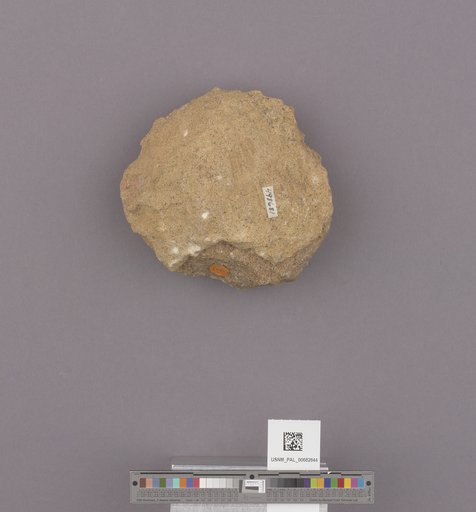 NSF ADBC EPICC TCN