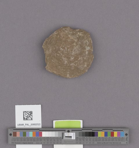 NSF ADBC EPICC TCN
