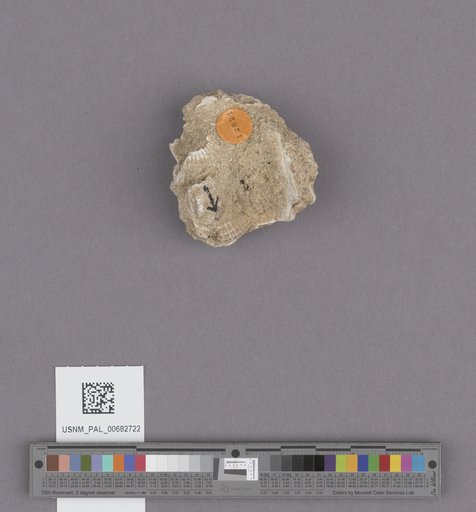 NSF ADBC EPICC TCN