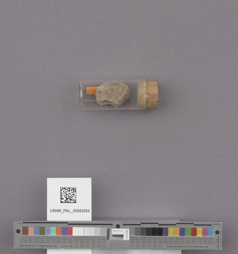 NSF ADBC EPICC TCN