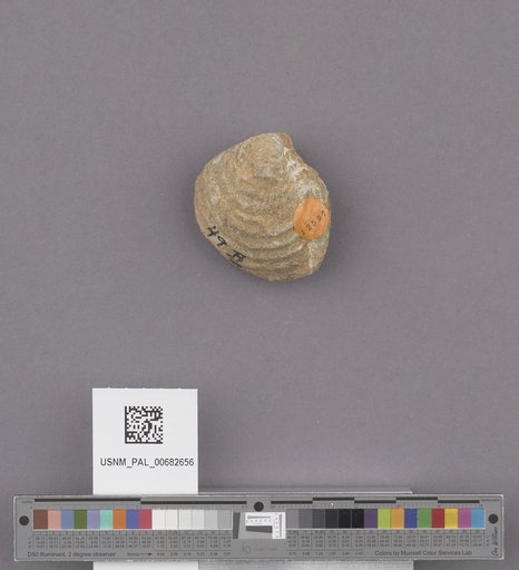 NSF ADBC EPICC TCN