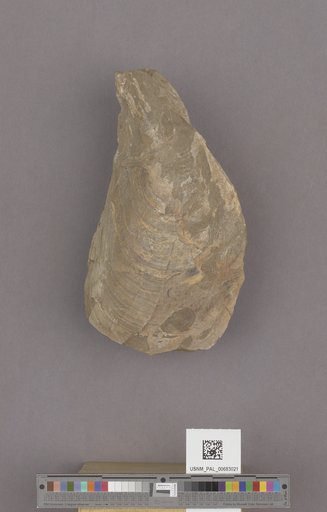 NSF ADBC EPICC TCN