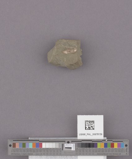 NSF ADBC EPICC TCN