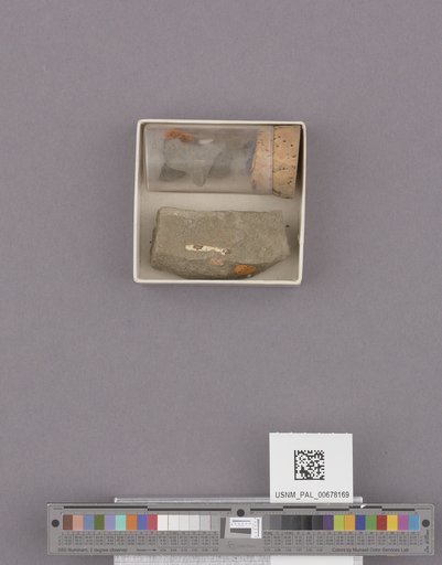 NSF ADBC EPICC TCN