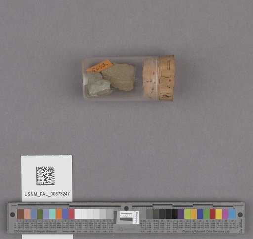NSF ADBC EPICC TCN
