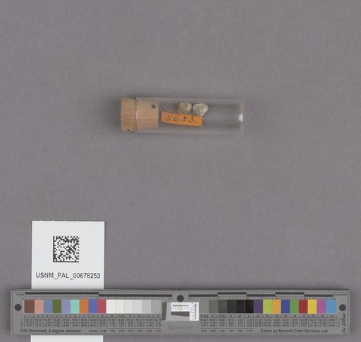NSF ADBC EPICC TCN