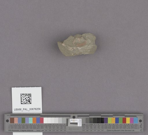 NSF ADBC EPICC TCN