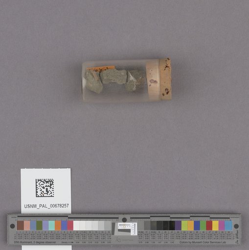NSF ADBC EPICC TCN