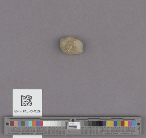 NSF ADBC EPICC TCN