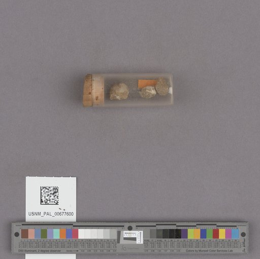 NSF ADBC EPICC TCN