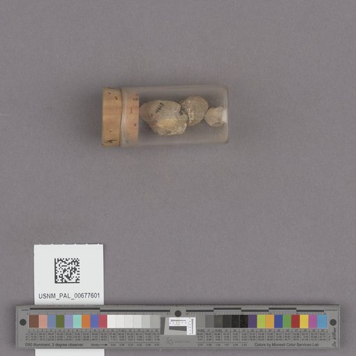NSF ADBC EPICC TCN