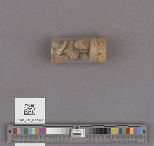 NSF ADBC EPICC TCN