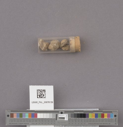NSF ADBC EPICC TCN