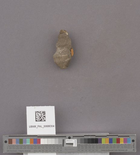 NSF ADBC EPICC TCN