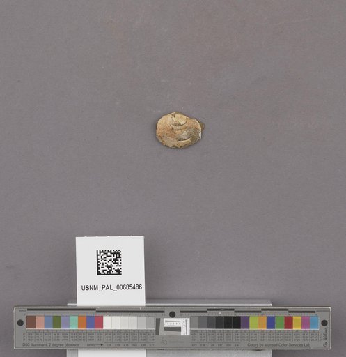 NSF ADBC EPICC TCN