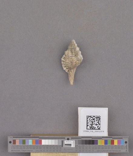 NSF ADBC EPICC TCN