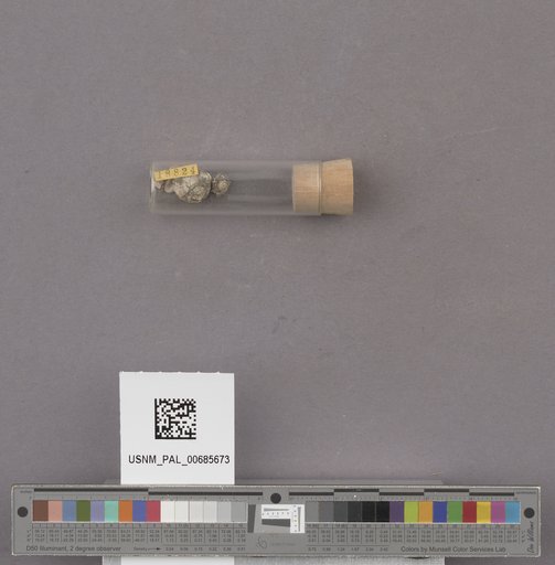 NSF ADBC EPICC TCN