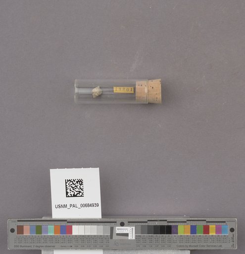 NSF ADBC EPICC TCN