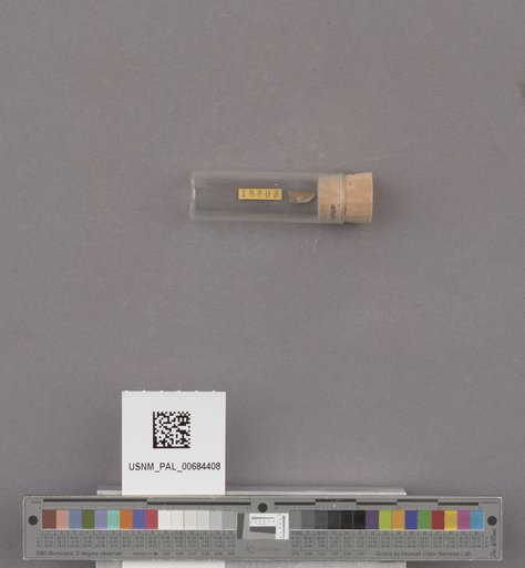 NSF ADBC EPICC TCN