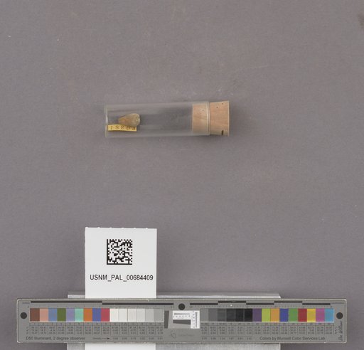 NSF ADBC EPICC TCN