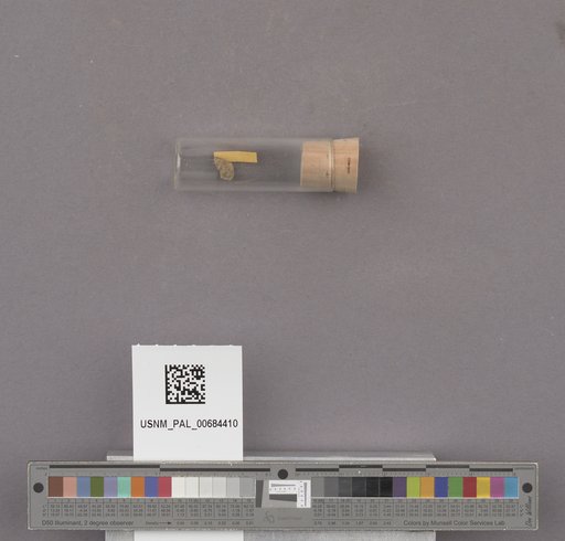 NSF ADBC EPICC TCN
