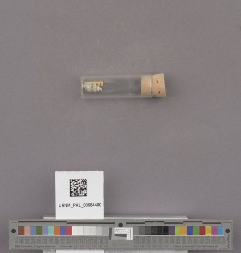 NSF ADBC EPICC TCN
