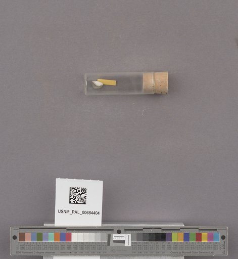 NSF ADBC EPICC TCN