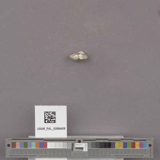 NSF ADBC EPICC TCN