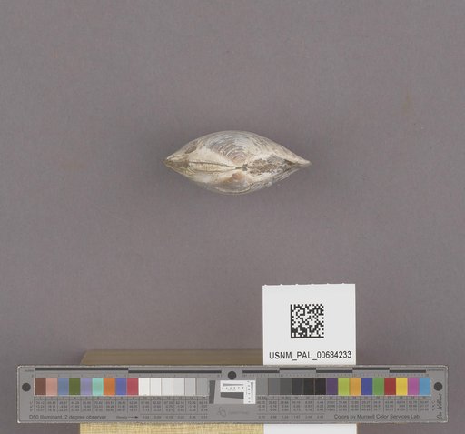 NSF ADBC EPICC TCN