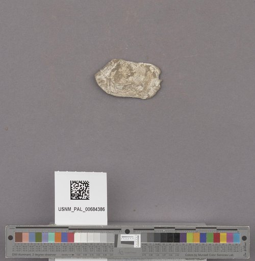 NSF ADBC EPICC TCN